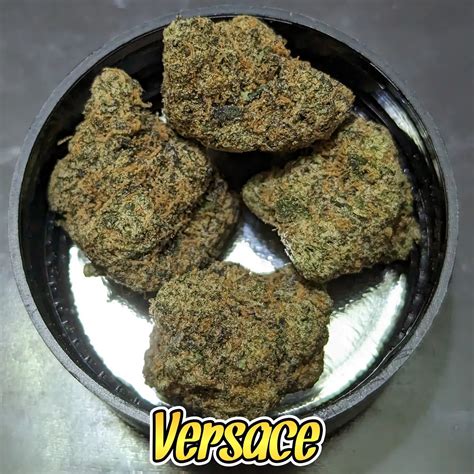 versace weed|Versace Marijuana Strain Information & Reviews .